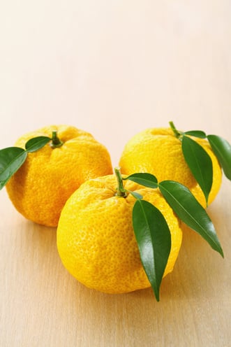 Three Vibrant Yuzu Fruits with Leaves